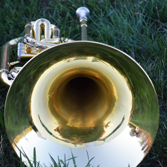 alle brassbands tuba