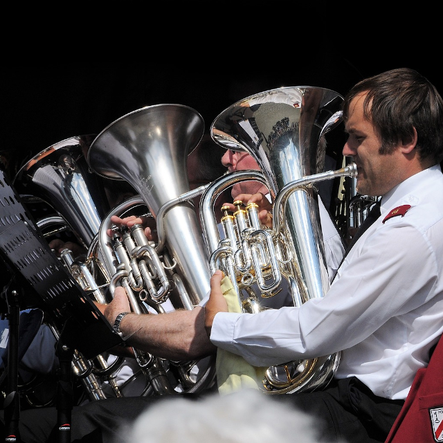 alle brassbands tuba section